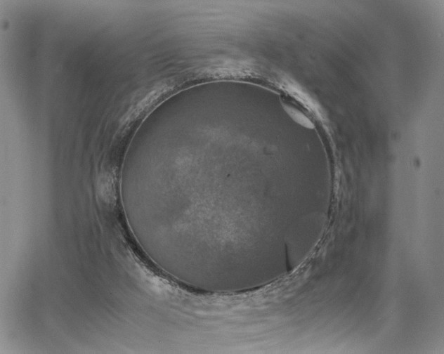 X0000062150009200512091326