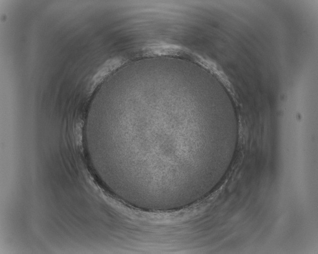 X0000062150010200512091326