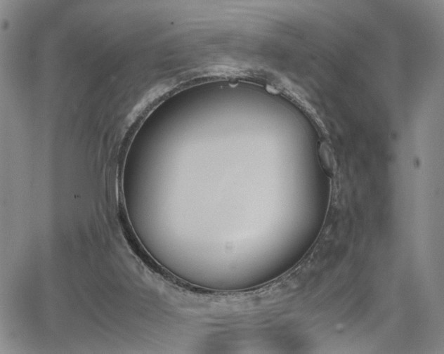 X0000062150011200512091326