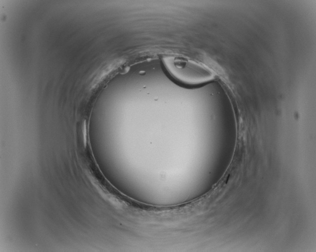 X0000062150013200512091326