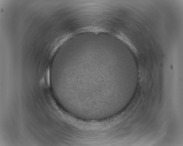 X0000062150014200512091326