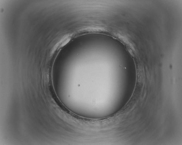 X0000062150015200512091326