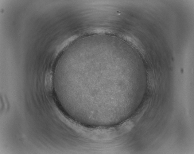 X0000062150016200512091326