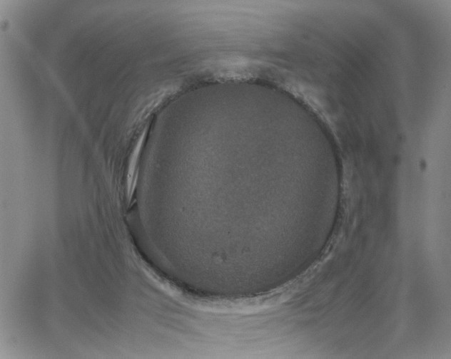 X0000062150017200512091326