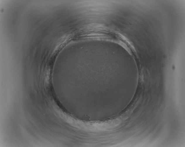 X0000062150018200512091326