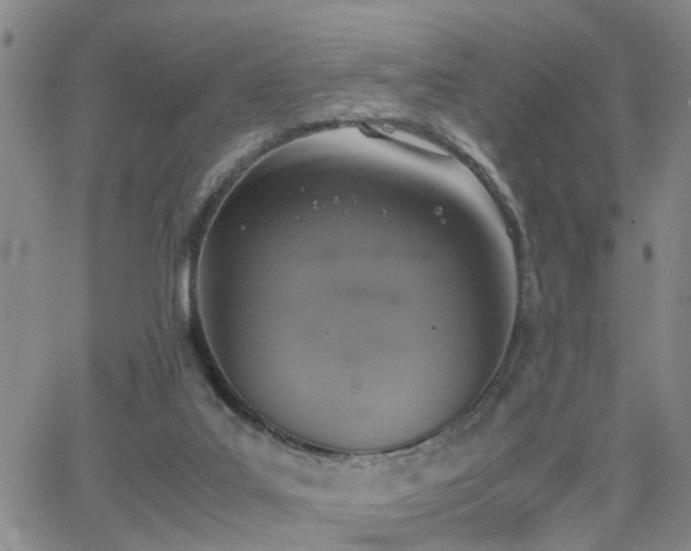 X0000062150019200512091326