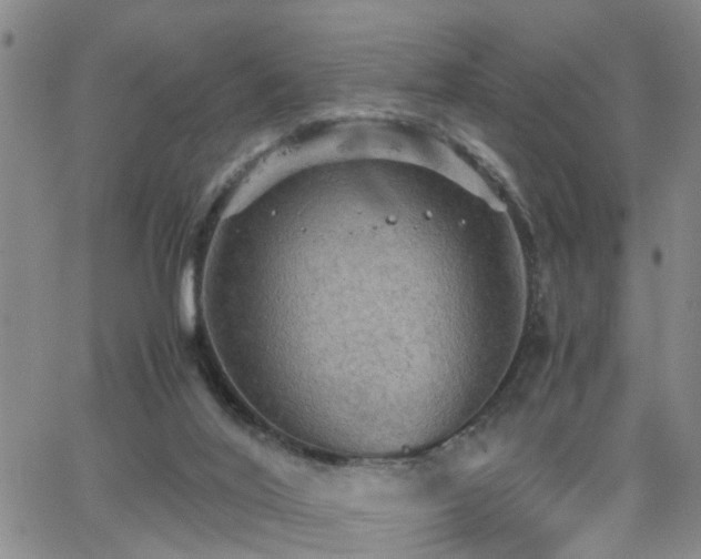 X0000062150020200512091326