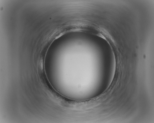 X0000062150021200512091326