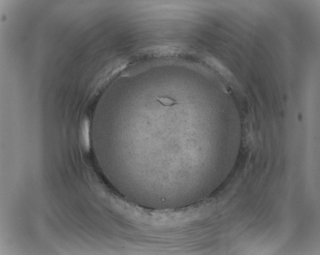 X0000062150022200512091326