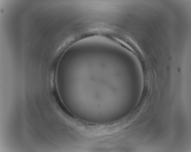 X0000062150023200512091326