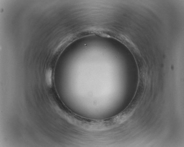 X0000062150024200512091326