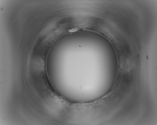 X0000062150025200512091326