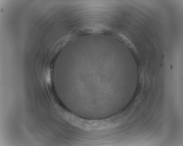 X0000062150026200512091326