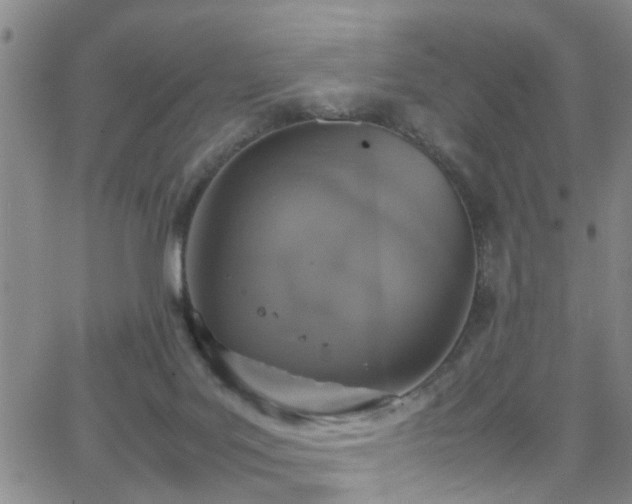 X0000062150027200512091326