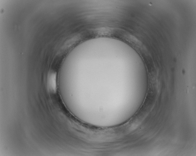 X0000062150028200512091326