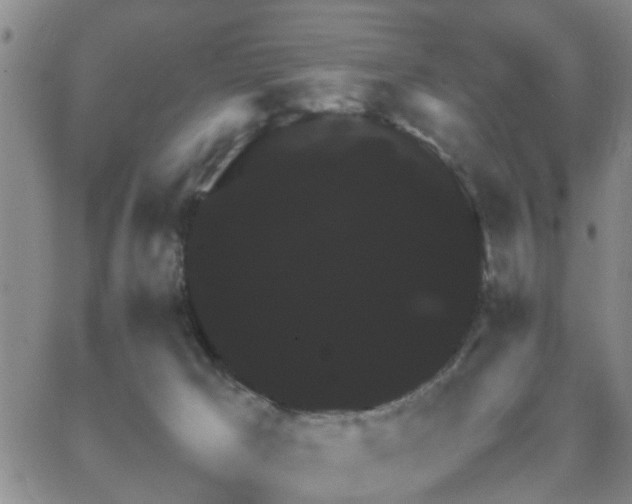 X0000062150029200512091326