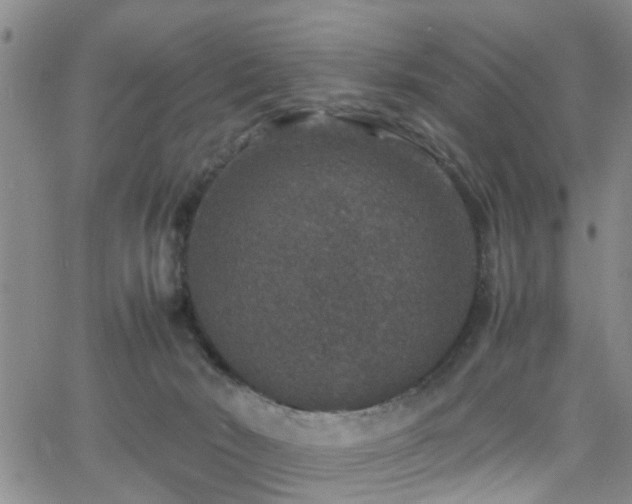 X0000062150030200512091326