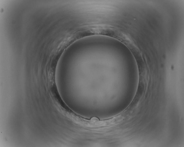 X0000062150031200512091326