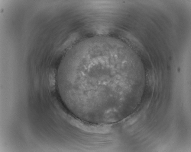 X0000062150032200512091326