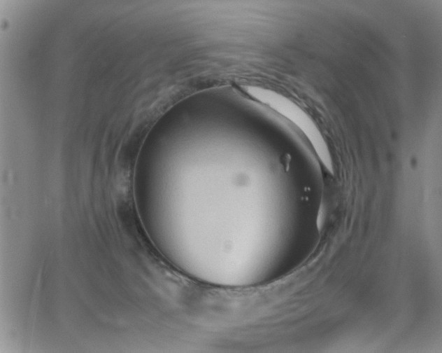 X0000062150033200512091326