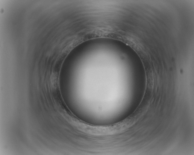 X0000062150034200512091326