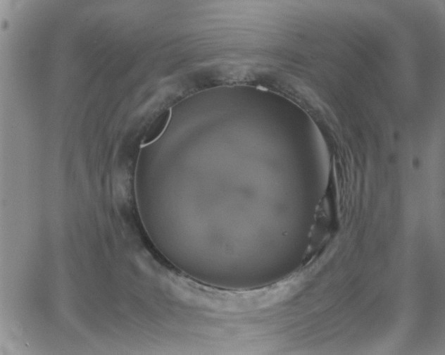 X0000062150035200512091326