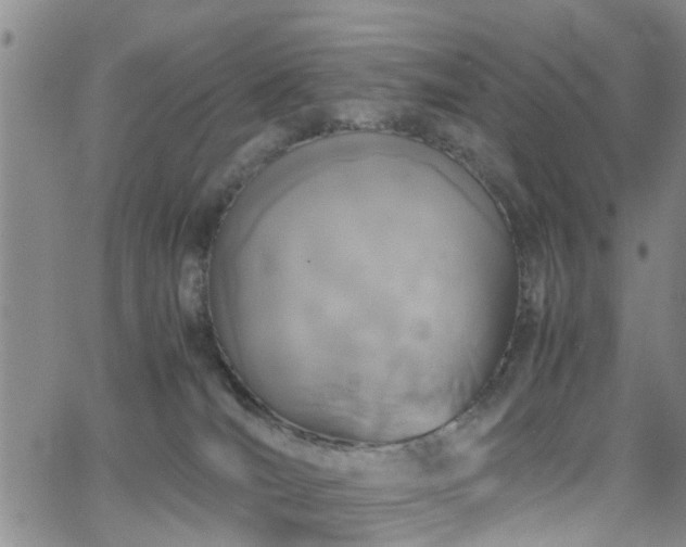 X0000062150036200512091326