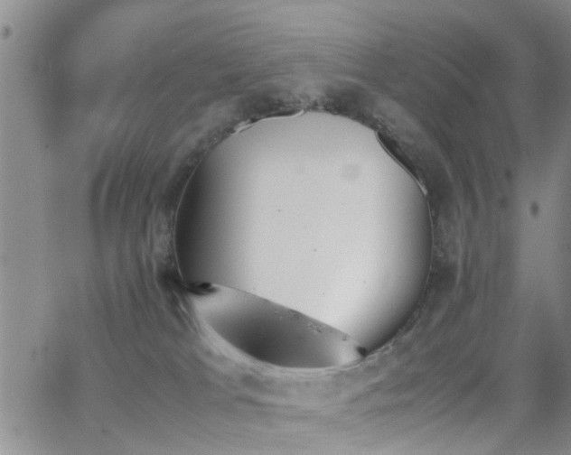 X0000062150037200512091326