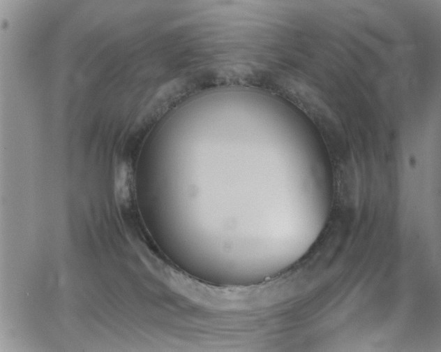 X0000062150038200512091326