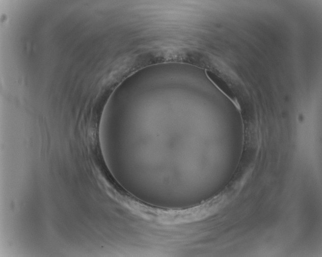 X0000062150039200512091326