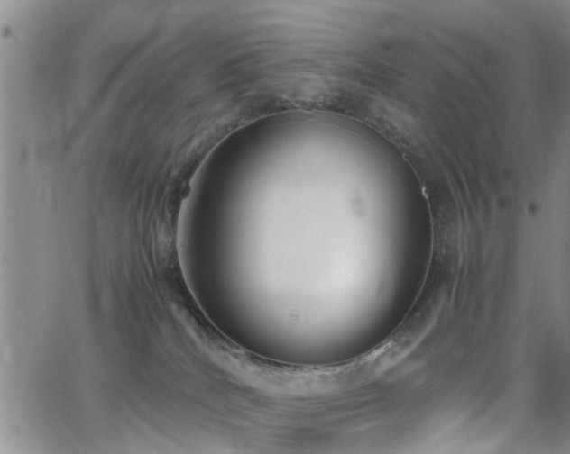 X0000062150040200512091326