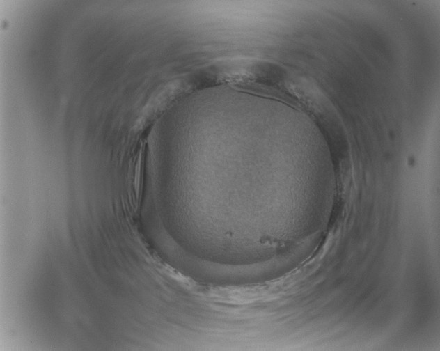 X0000062150041200512091325