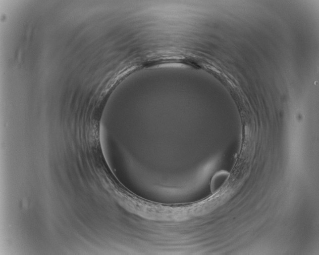 X0000062150048200512091325