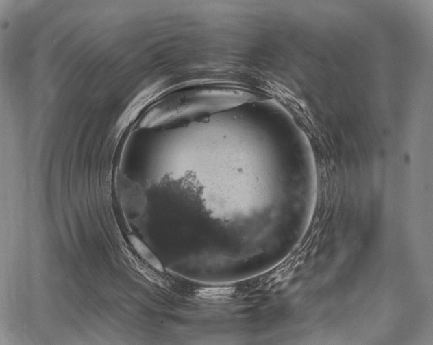 X0000062150051200512091325