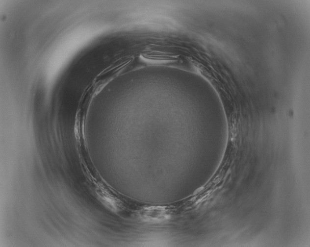 X0000062150052200512091325