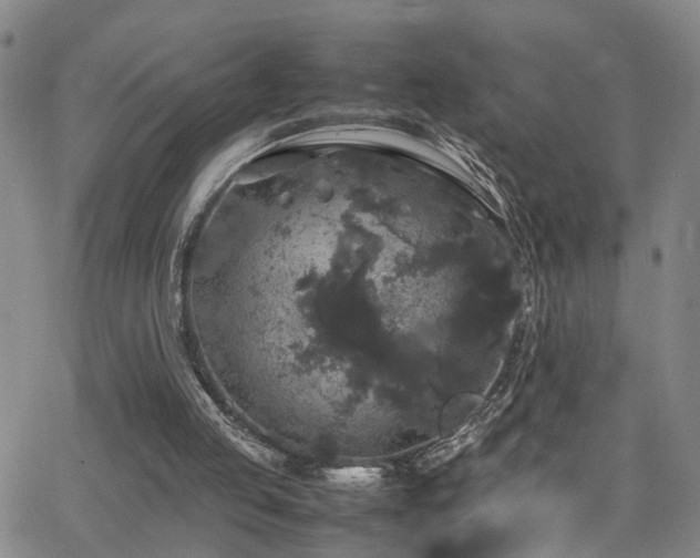 X0000062150053200512091325