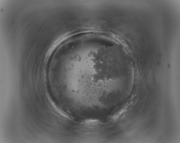 X0000062150055200512091325