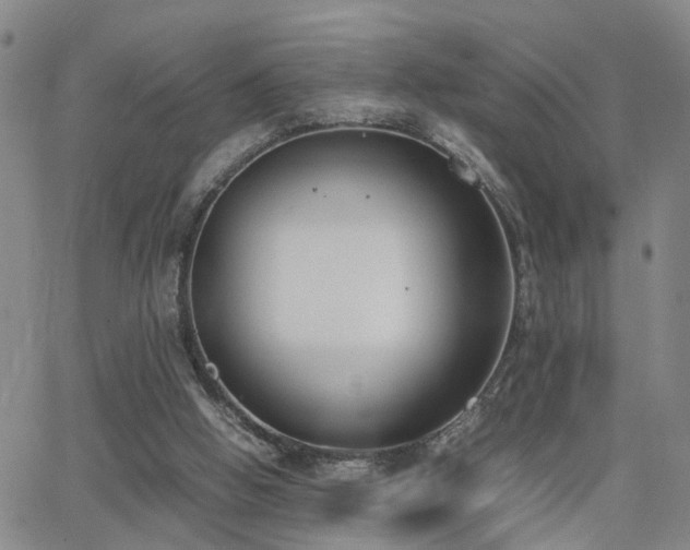 X0000062150058200512091325