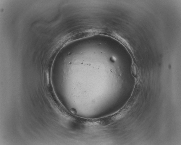 X0000062150061200512091325