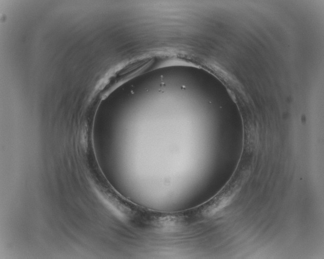 X0000062150064200512091325