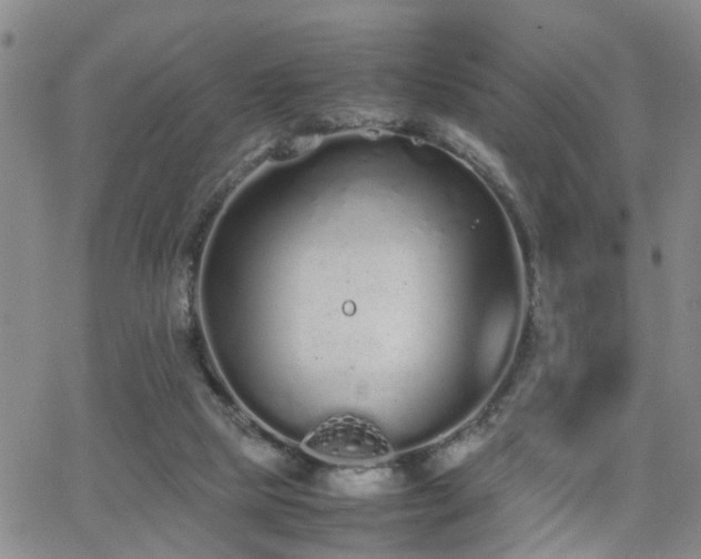 X0000062150065200512091325