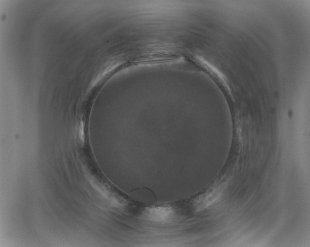 X0000062150067200512091325