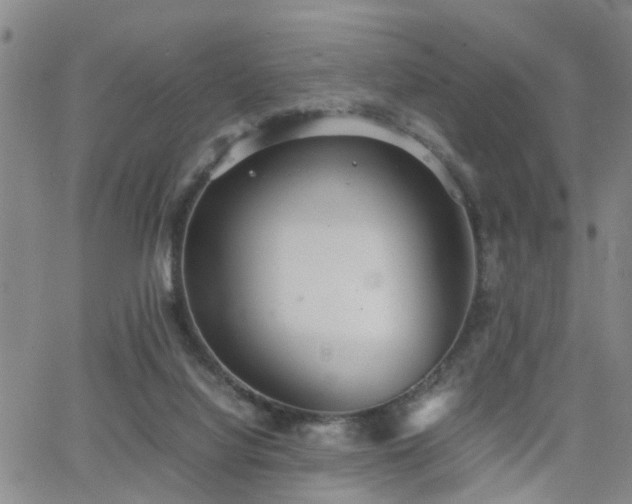 X0000062150068200512091325