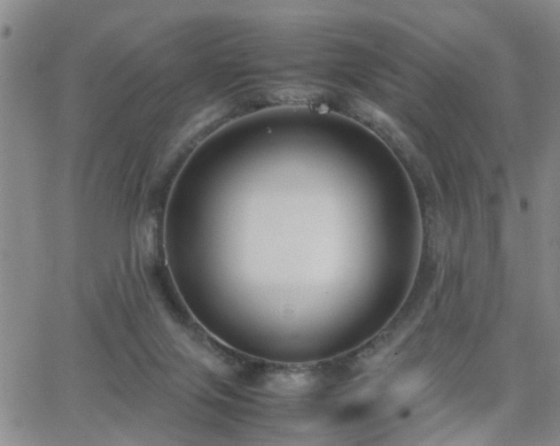 X0000062150071200512091325