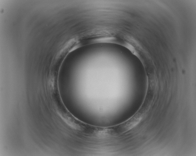 X0000062150072200512091325