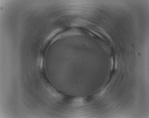 X0000062150076200512091325