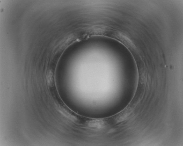 X0000062150077200512091325