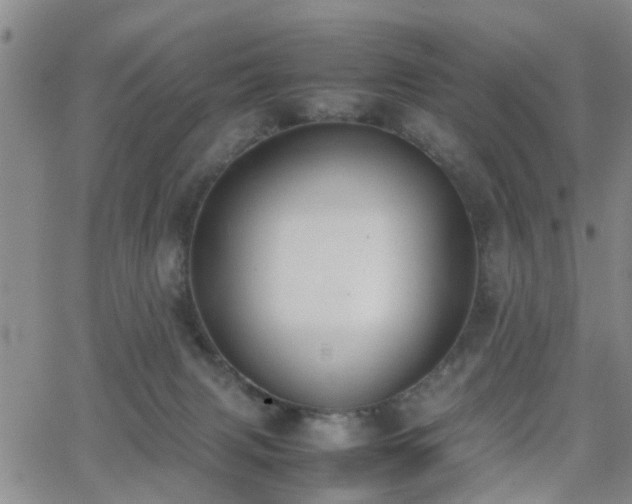 X0000062150079200512091325