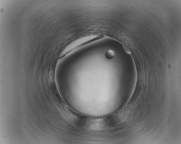 X0000062150081200512091325