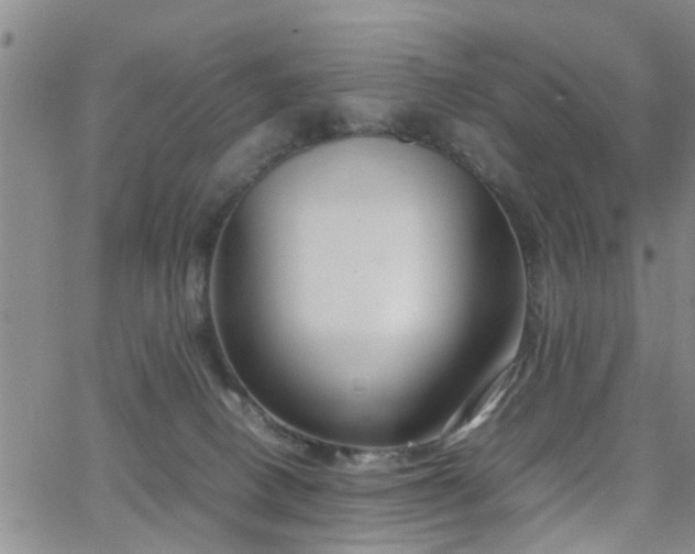 X0000062150082200512091325